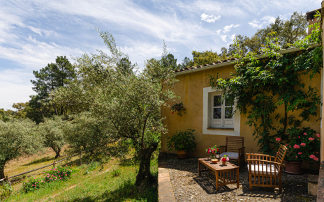 Terraza delantera con vistas